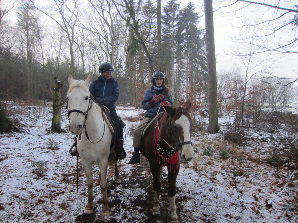 Renate und Ashley, Odina und Ferun