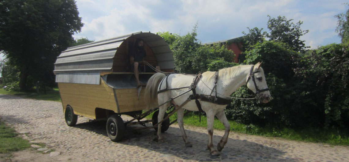 Pferde, Reiten, Urlaub in Zahren