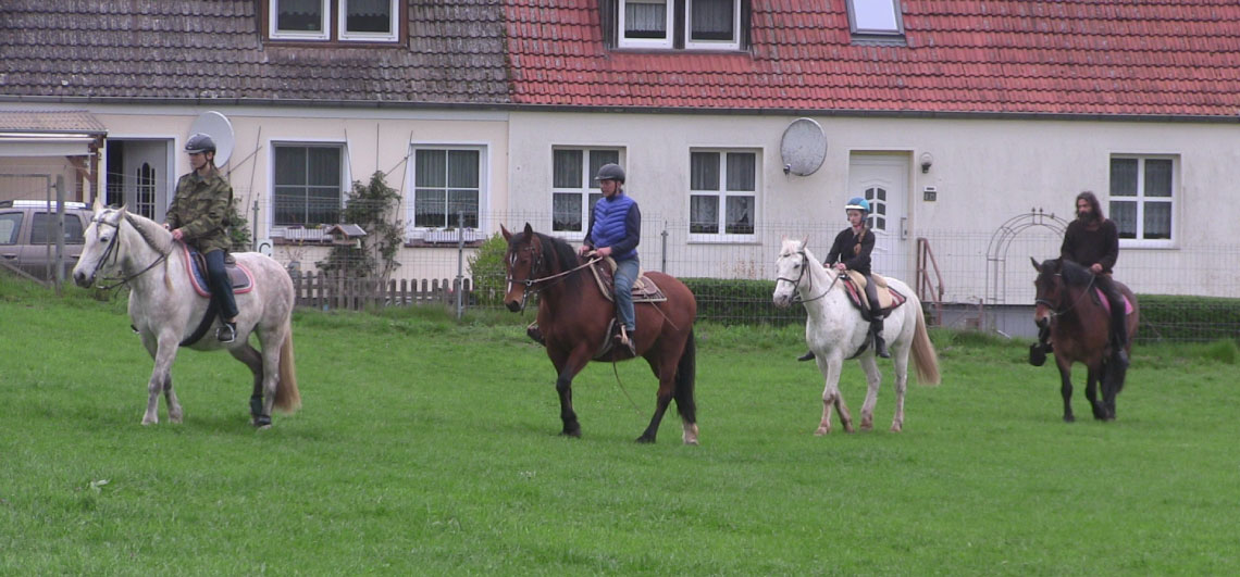 Schrittrunde - wie in den Oliveira Stables in Waal ;-)